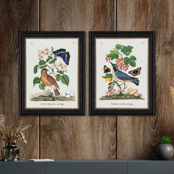 Set of 2 Vintage Bird Framed Prints - Multicolor image