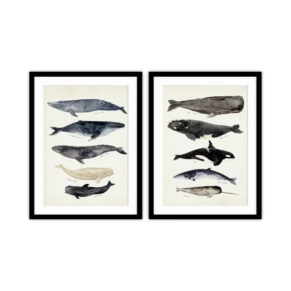 Set of 2 Whale Framed Prints - Grey
