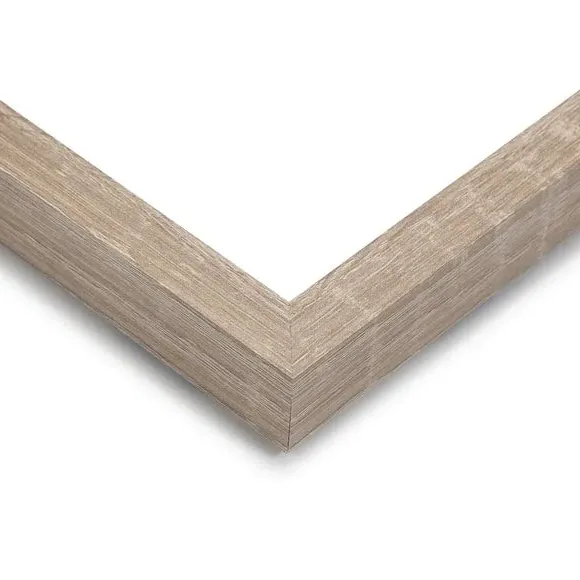 Set of 3 Framed Prints - Multicolor, Birch