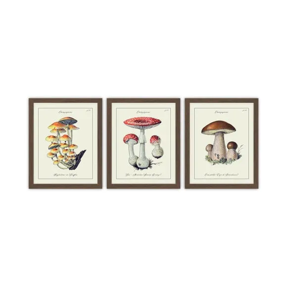 Set of 3 Mushroom Framed Prints - Brown, Wood