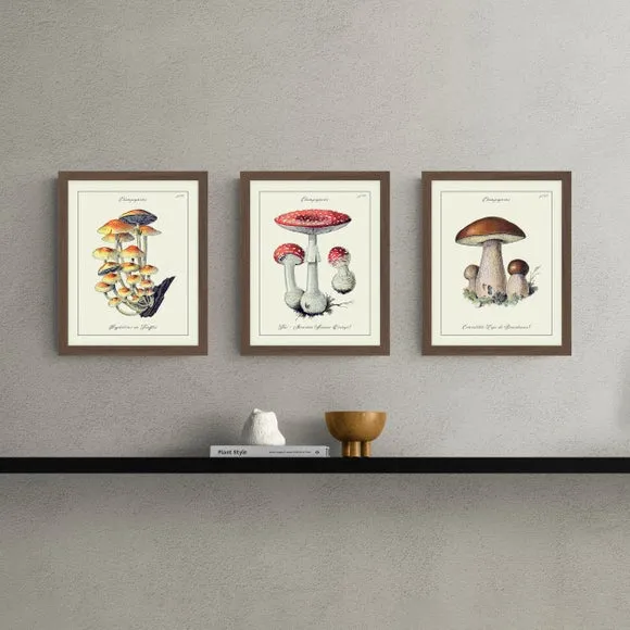 Set of 3 Mushroom Framed Prints - Brown, Wood image