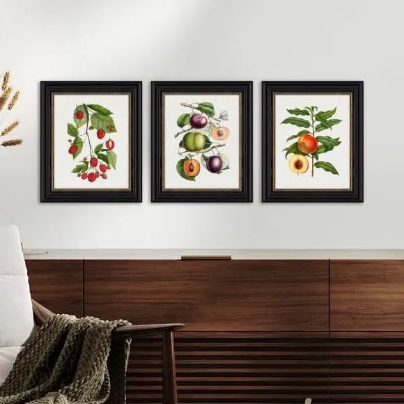 Set of 3 Vintage Fruit Framed Prints - Green image