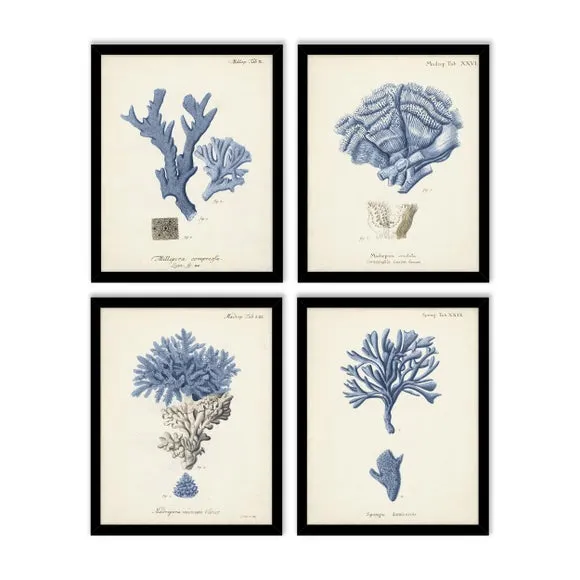 Set of 4 Framed Prints - Black Frame
