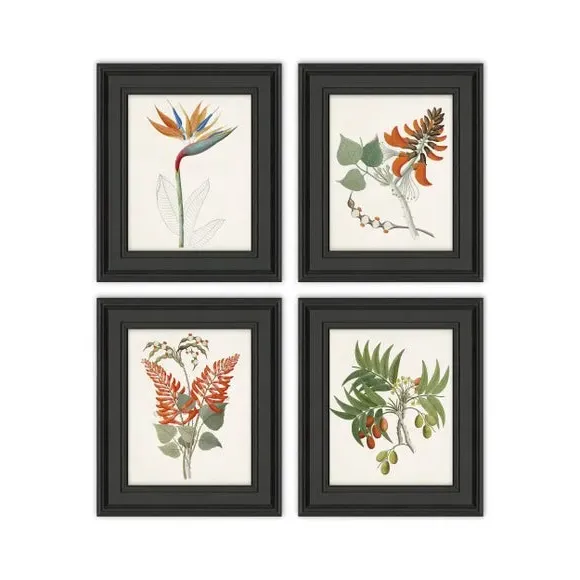 Set of 4 Framed Prints - Multicolor, Black Frame