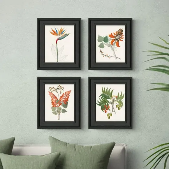 Set of 4 Framed Prints - Multicolor, Black Frame image
