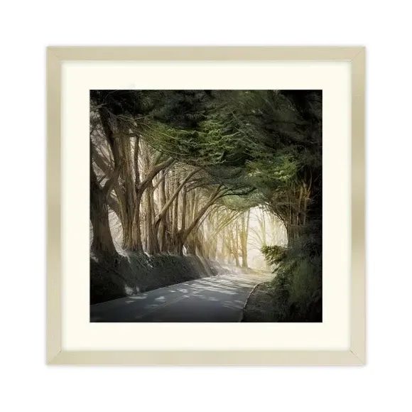 Square Framed Print - Champagne Frame