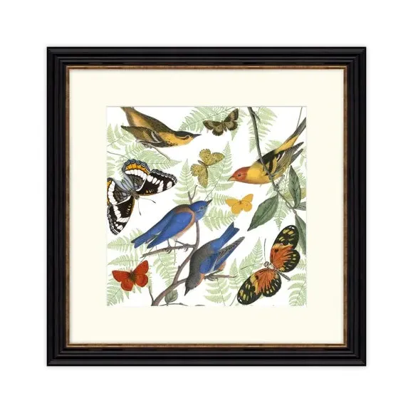 Square Framed Print Nature's Flight - Multicolor