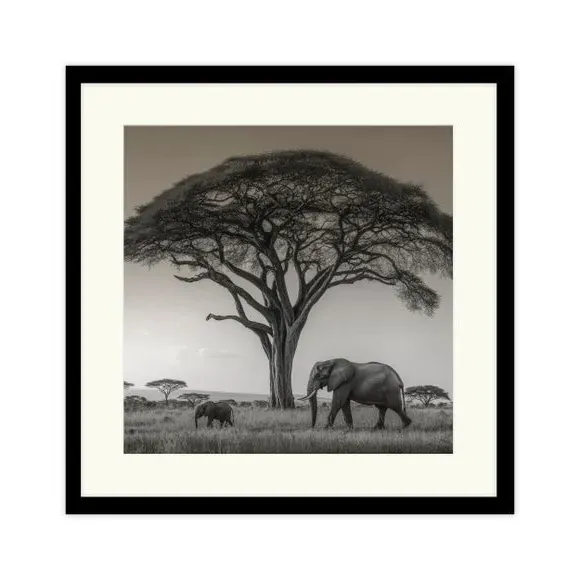 Square Framed Print Safari Elephants - Black