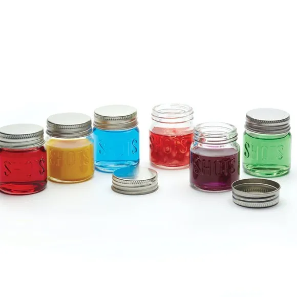 6-Piece Mini Drink Jars with Lids - Glass