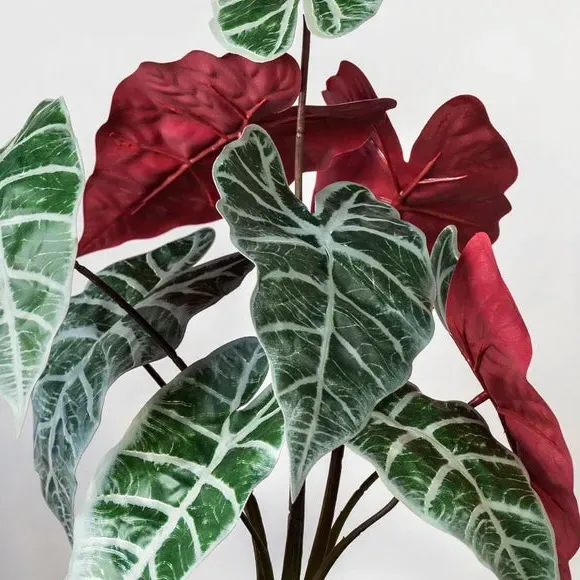 Artificial Alocasia Plant - Green