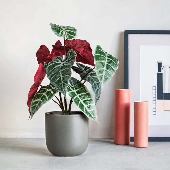 Artificial Alocasia Plant - Green image