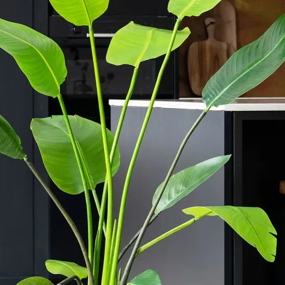 Artificial Bird of Paradise Plant - Green