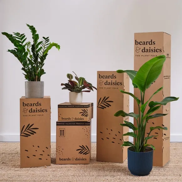 Artificial Bird of Paradise Plant - Green