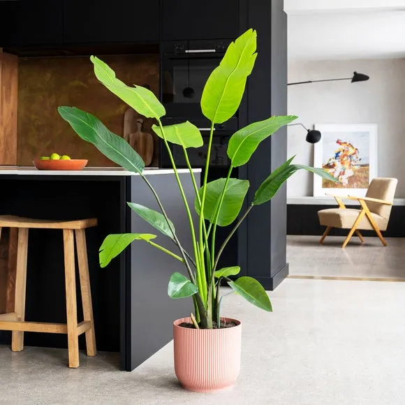 Artificial Bird of Paradise Plant - Green
