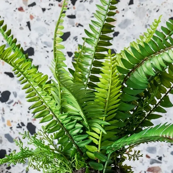 Artificial Boston Fern Plant - Green