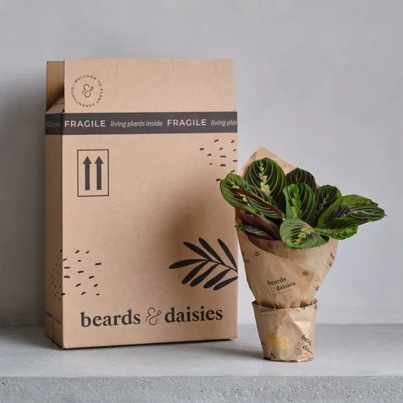 Artificial Boston Fern Plant - Green