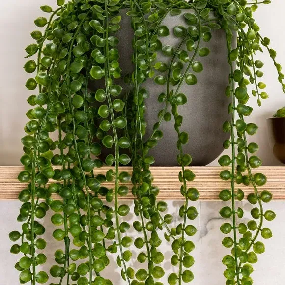 Artificial Hanging Ficus Plant - Green