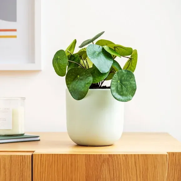 Artificial Money Plant - Green image