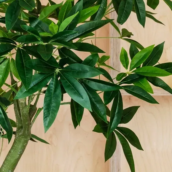 Artificial Money Tree - Green