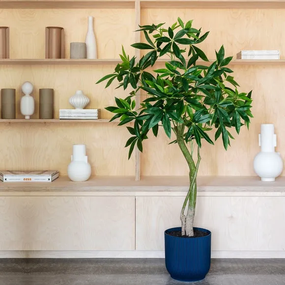 Artificial Money Tree - Green image