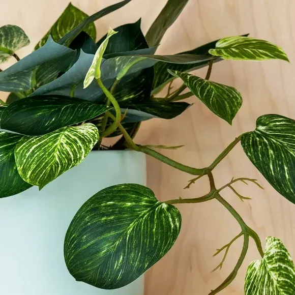 Artificial Pothos Plant - Green