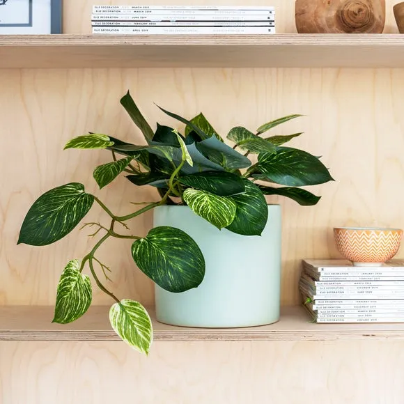 Artificial Pothos Plant - Green image