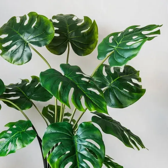 Artificial Swiss Cheese Plant - Green