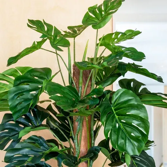 Artificial Swiss Cheese Plant on Moss Pole - Green