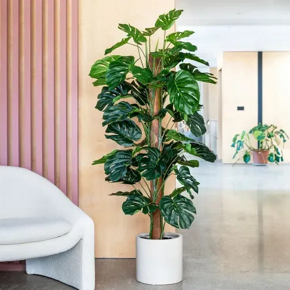 Artificial Swiss Cheese Plant on Moss Pole - Green image