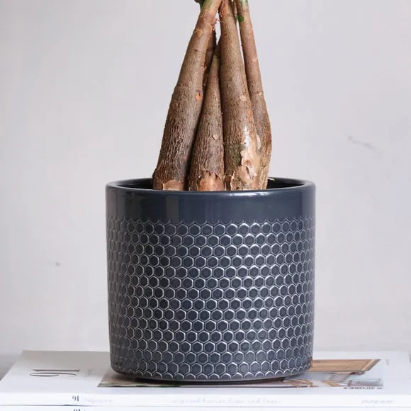 Geometric Plant Pot with Glazed Finish - Black, Ceramic