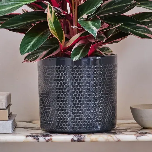 Geometric Plant Pot with Glazed Finish - Black, Ceramic