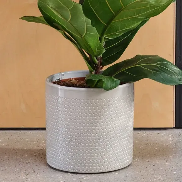 Geometric Plant Pot with Glazed Finish - Green, Ceramic