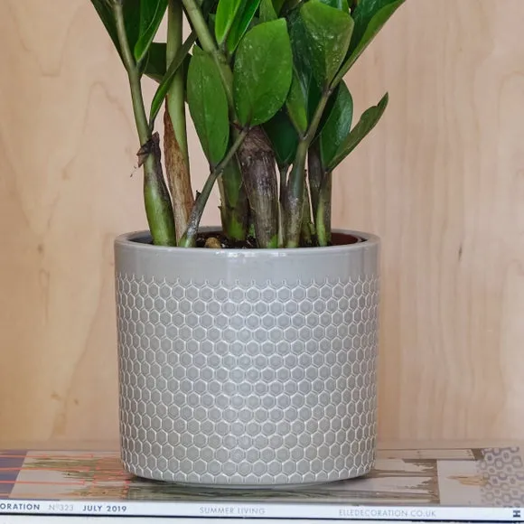 Geometric Plant Pot with Glazed Finish - Green, Ceramic