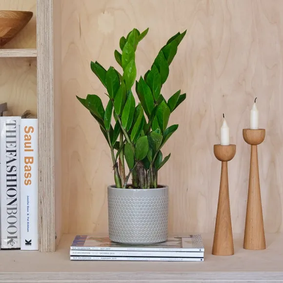 Geometric Plant Pot with Glazed Finish - Green, Ceramic