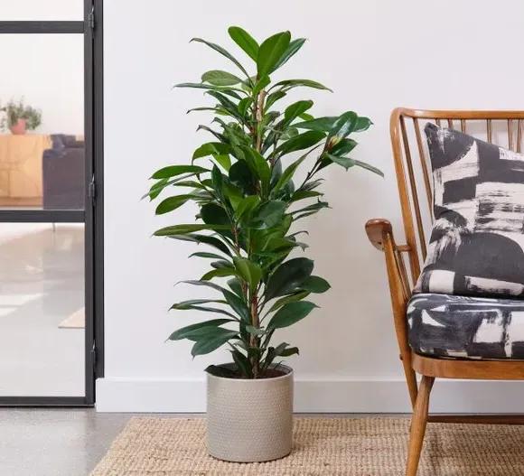 Geometric Plant Pot with Glazed Finish - Green, Ceramic