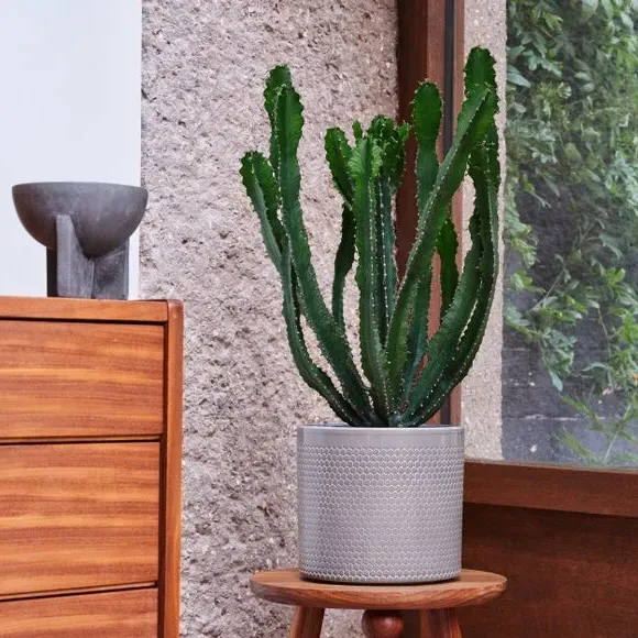 Geometric Plant Pot with Glazed Finish - Green, Ceramic