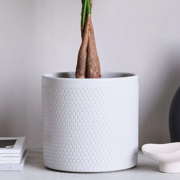 Geometric Plant Pot with Glazed Finish - Oyster, Ceramic