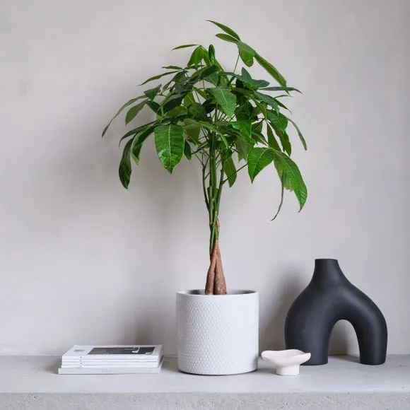 Geometric Plant Pot with Glazed Finish - Oyster, Ceramic
