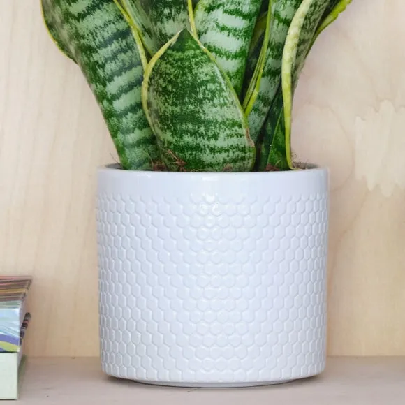 Geometric Plant Pot with Glazed Finish - White, Ceramic
