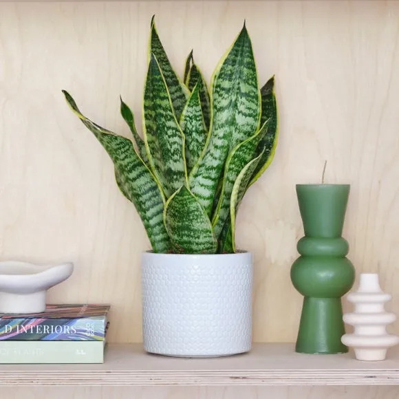 Geometric Plant Pot with Glazed Finish - White, Ceramic