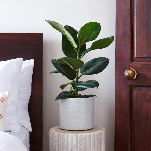 Geometric Plant Pot with Glazed Finish - White, Ceramic