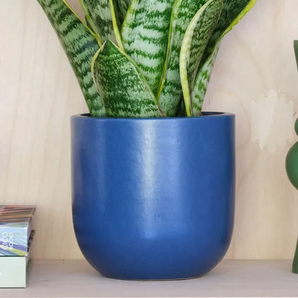 Plant Pot with Glazed Finish - Blue, Ceramic