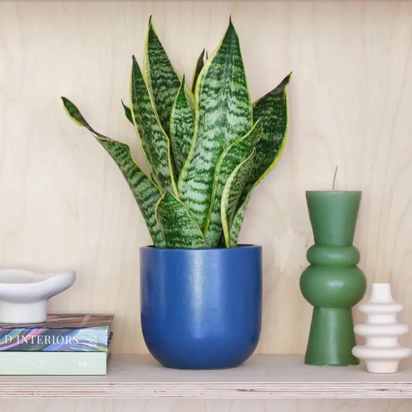 Plant Pot with Glazed Finish - Blue, Ceramic image