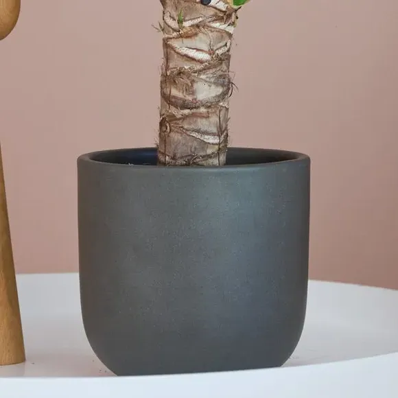 Plant Pot with Glazed Finish - Grey, Ceramic