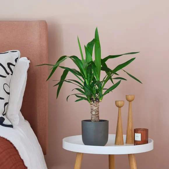 Plant Pot with Glazed Finish - Grey, Ceramic
