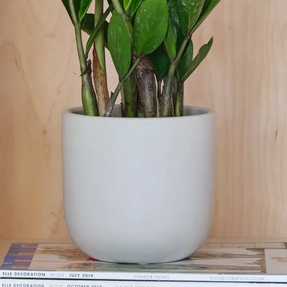 Plant Pot with Glazed Finish - Oyster, Ceramic