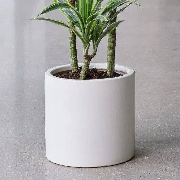 Plant Pot with Glazed Finish - Oyster, Ceramic