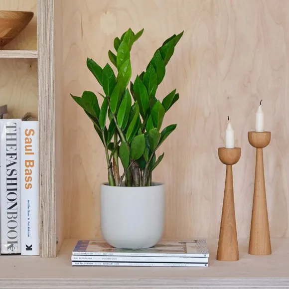 Plant Pot with Glazed Finish - Oyster, Ceramic