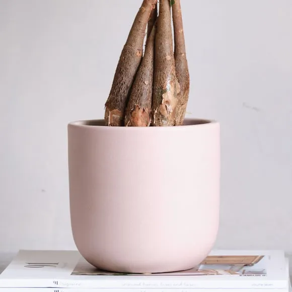 Plant Pot with Glazed Finish - Pink, Ceramic