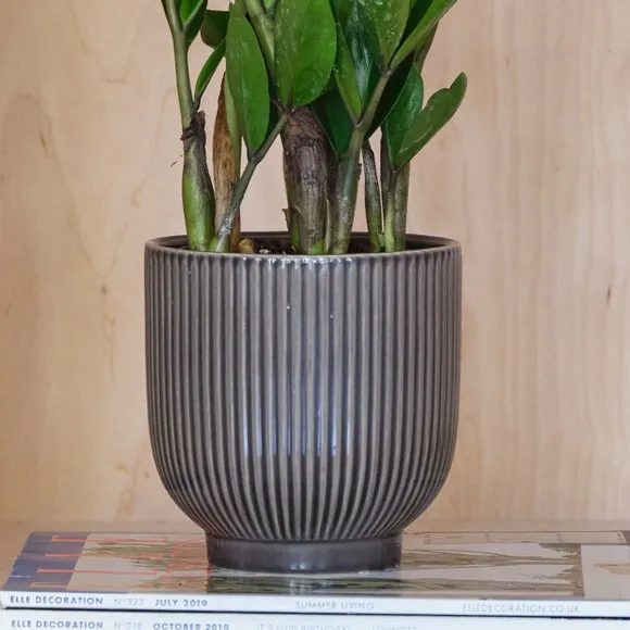 Ribbed Plant Pot with Glazed Finish - Grey, Ceramic